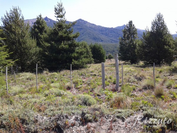 Terreno en Villa Meliquina