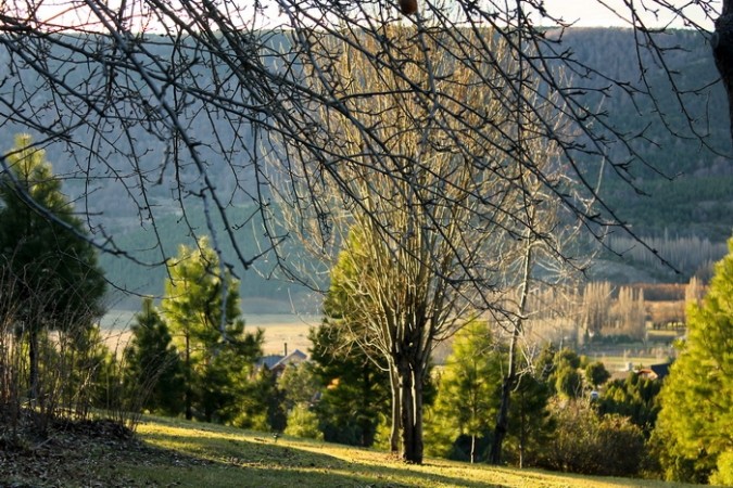 LOTE EN LA JAURIA 